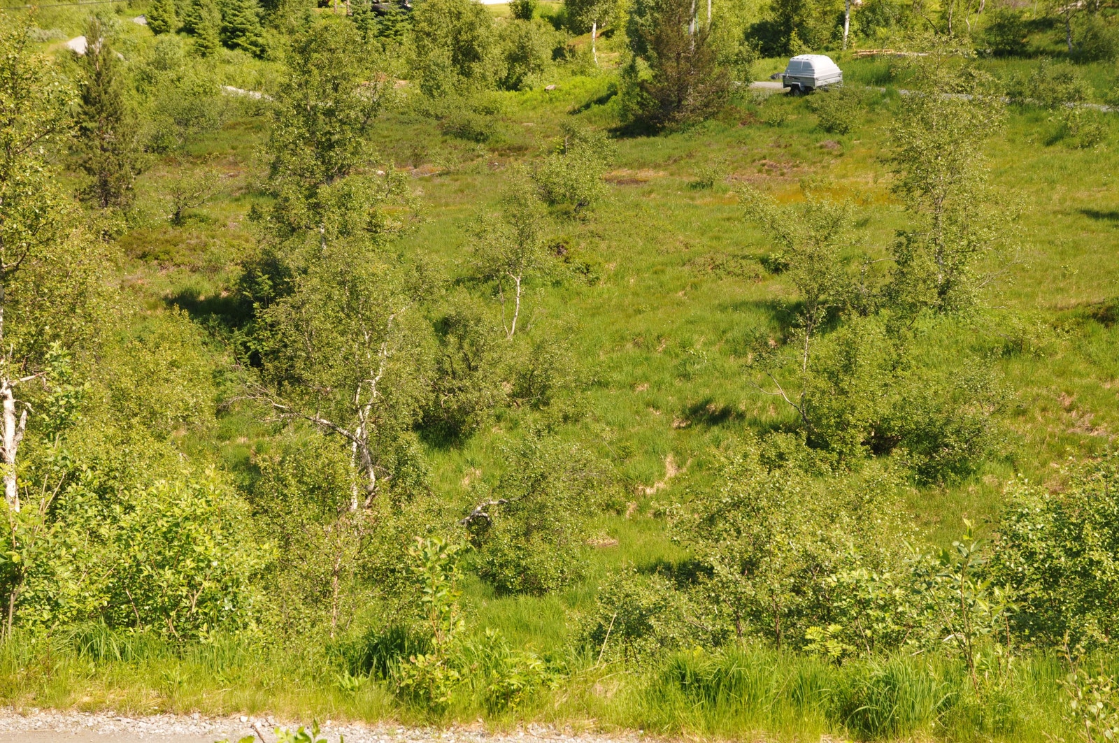 Friluftsområde av tomtearealet Galleribilde