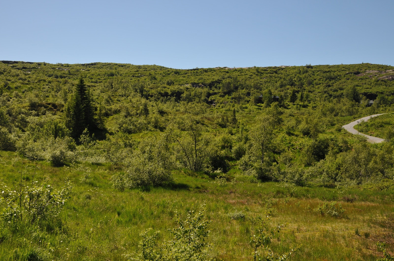 Tomtearealet vist mot sør Galleribilde