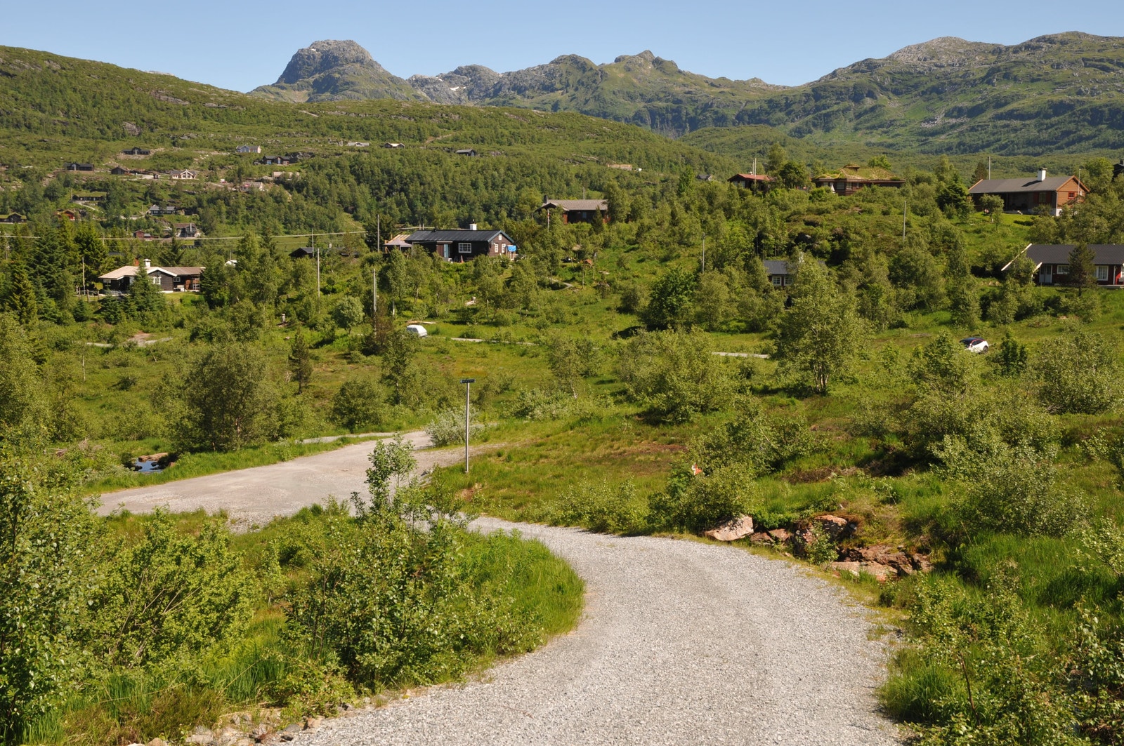 Veg frem mot tomtearealet Galleribilde