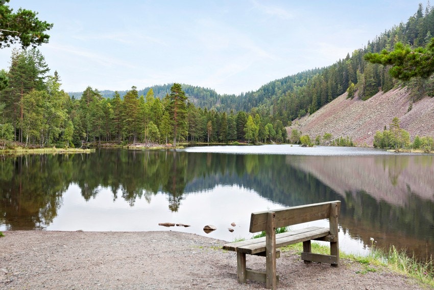 Strømsdammen ligger en kort spasertur fra boligen Galleribilde