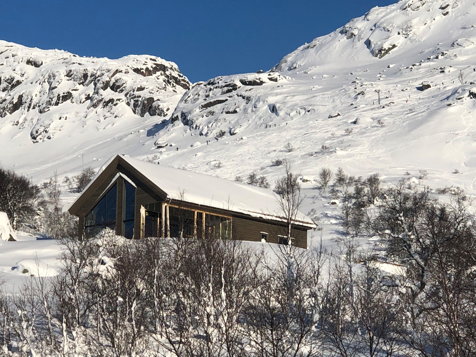 Bilder i fra Fidjeland Fjellgrend med trekket i bakgrunnen Galleribilde