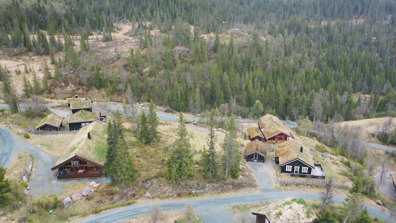 Områdebilde Galleribilde