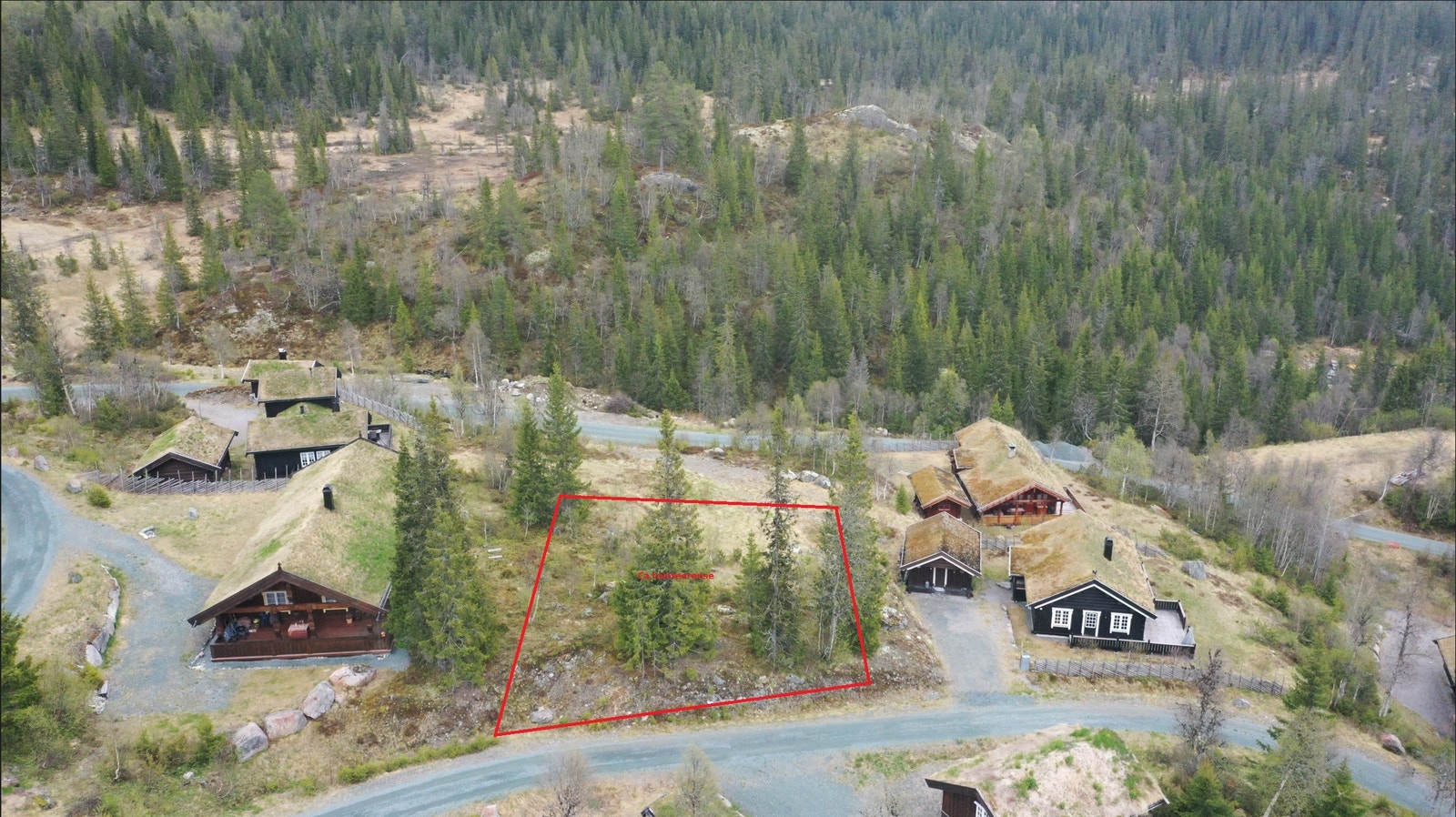 Ca tomtegrense Galleribilde