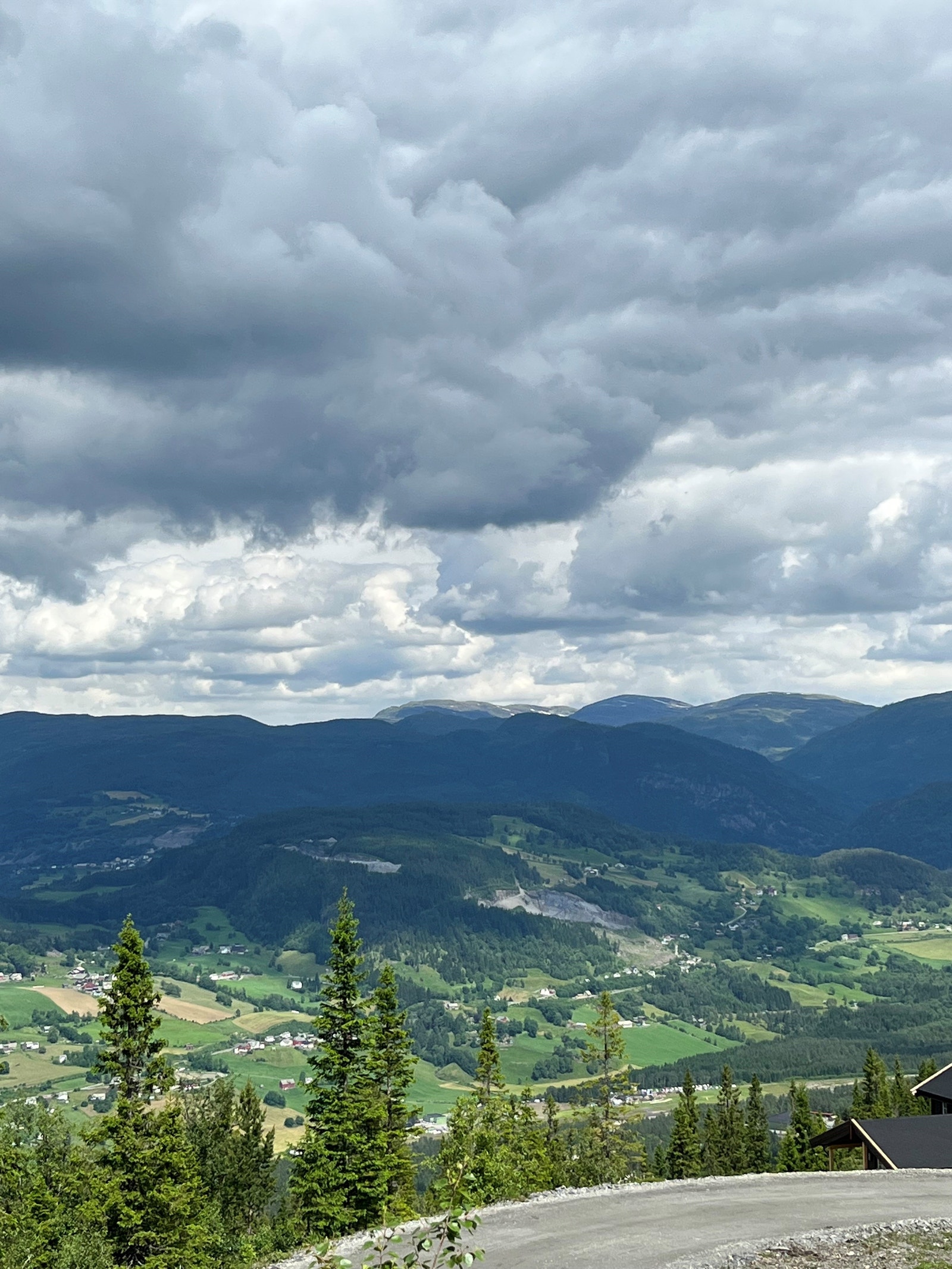 Utsikt fra tomta Galleribilde