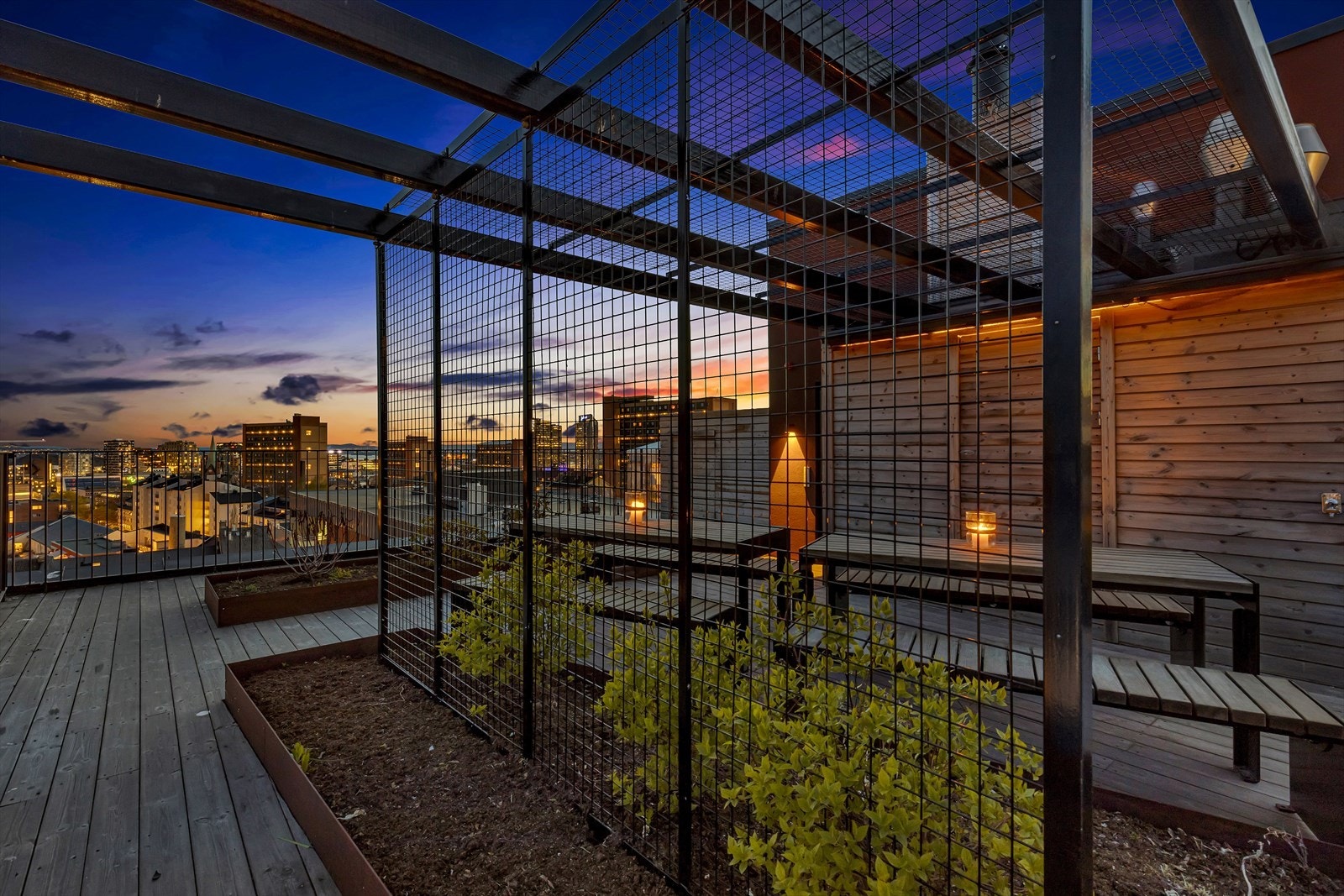 Kveldsstemning. Galleribilde