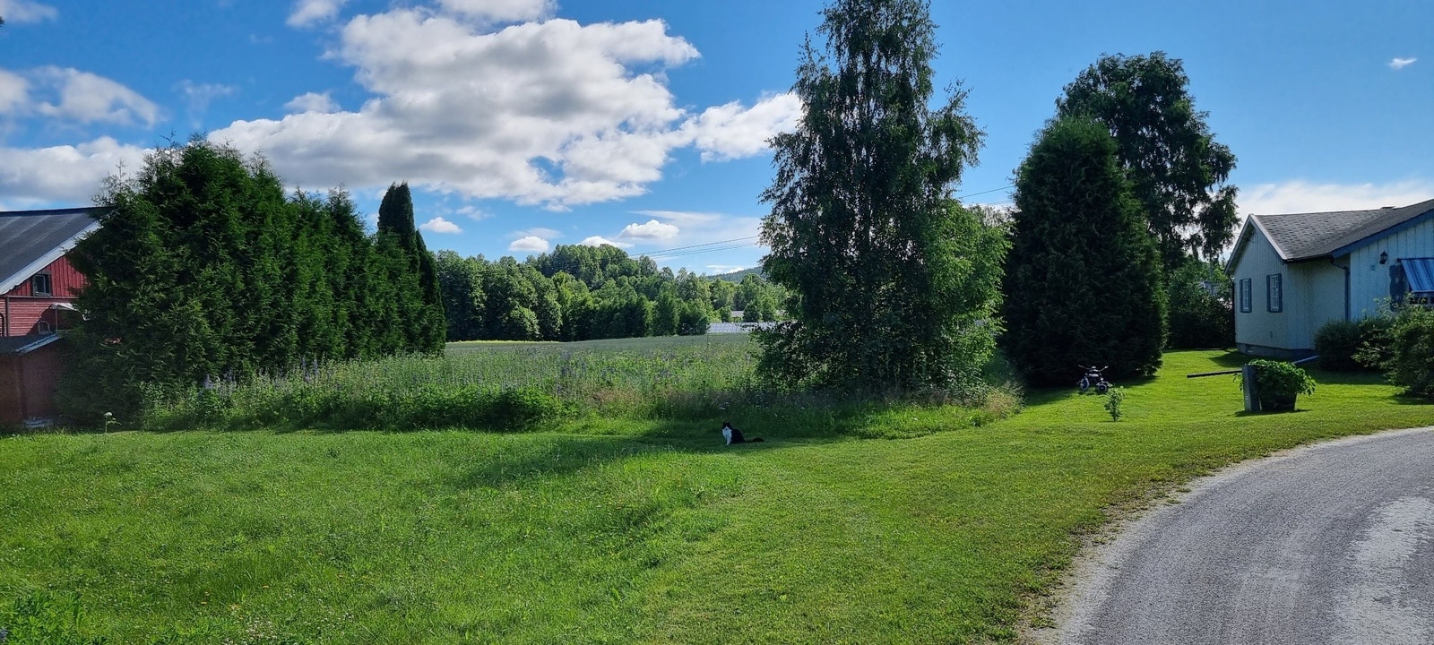 Bilde av Tomt 1. Galleribilde
