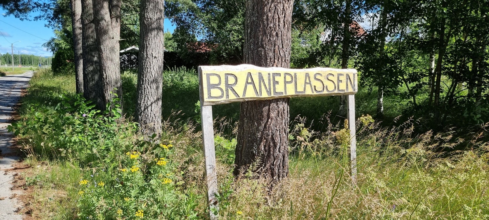 Braneplassen. Fotballbaner. Galleribilde