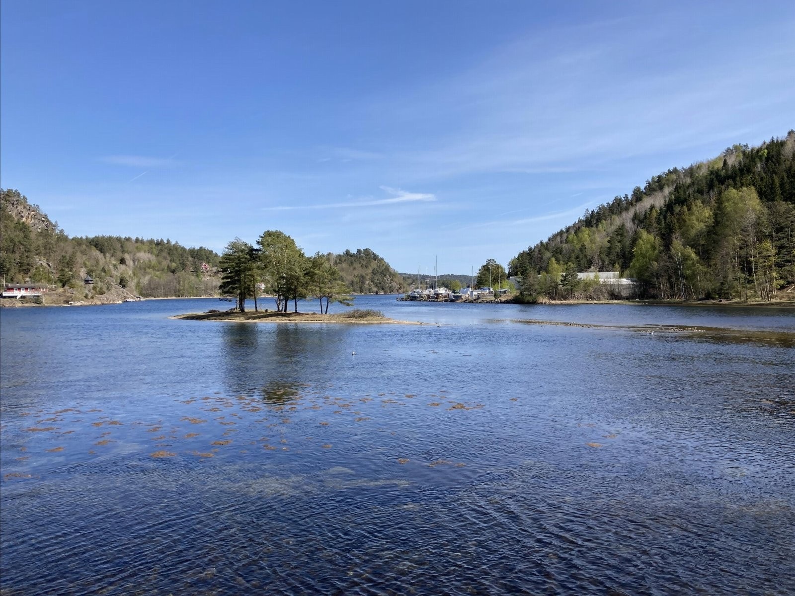 Nærmiljøet - holme utenfor tomtene Galleribilde