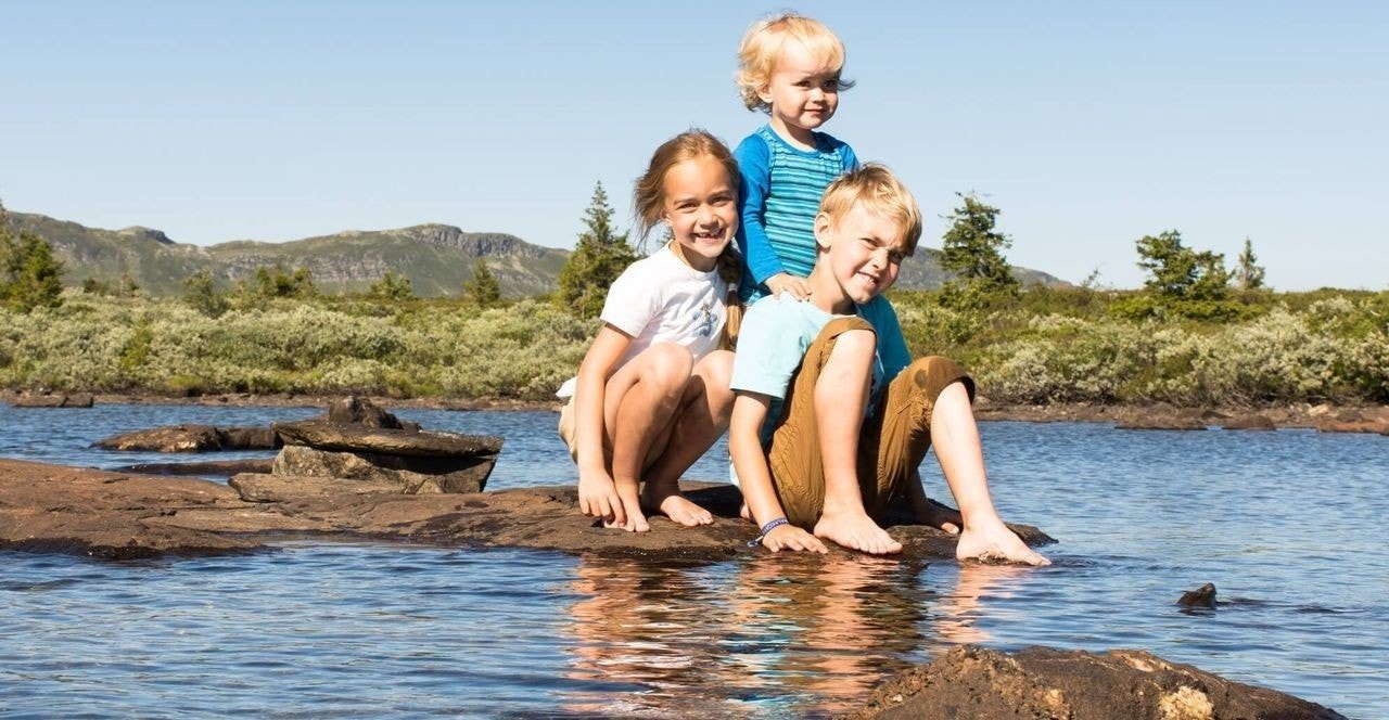 Barna koser seg på fjellet Galleribilde