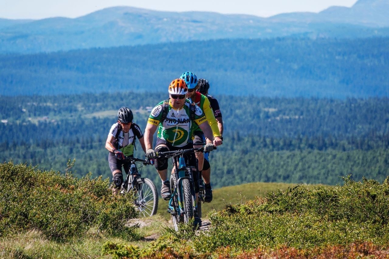 Sykkelstier Galleribilde