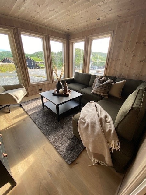 Kjellerstue Galleribilde