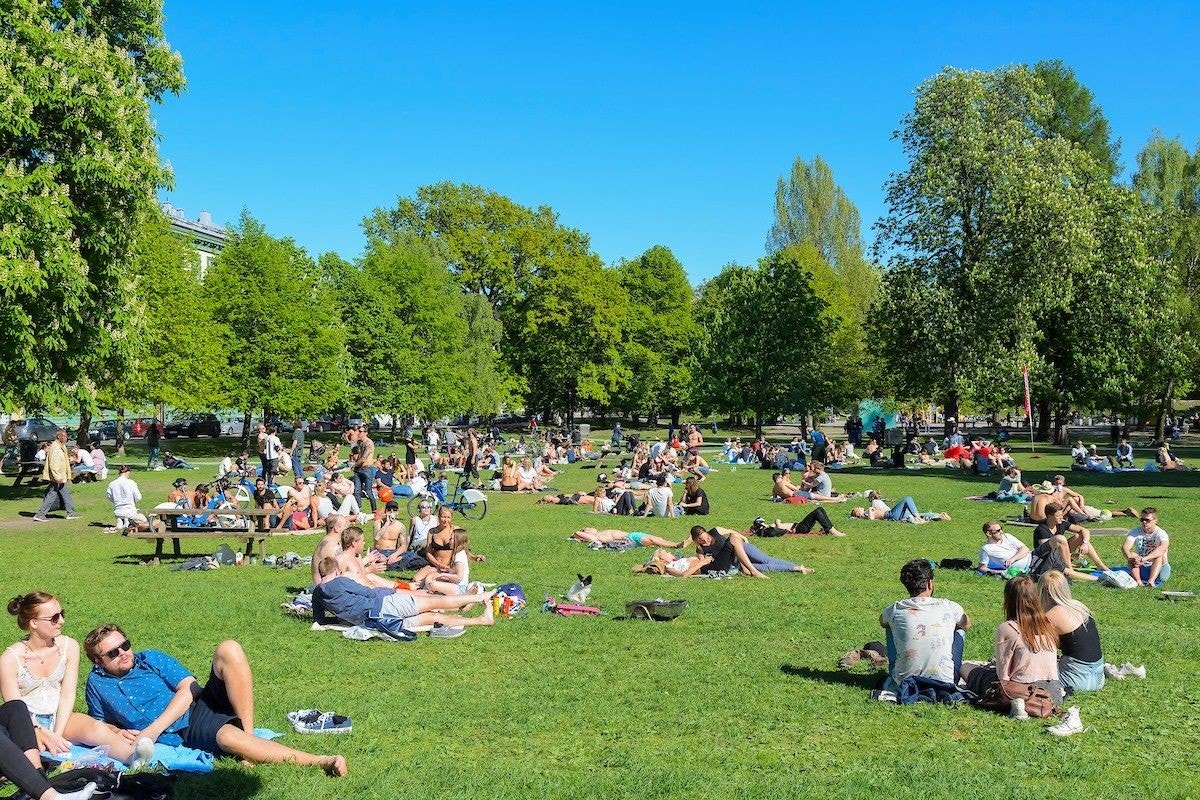 Sofienbergparken ligger rett nedenfor og er perfekt til soling, grilling eller annen lek og aktivitet Galleribilde