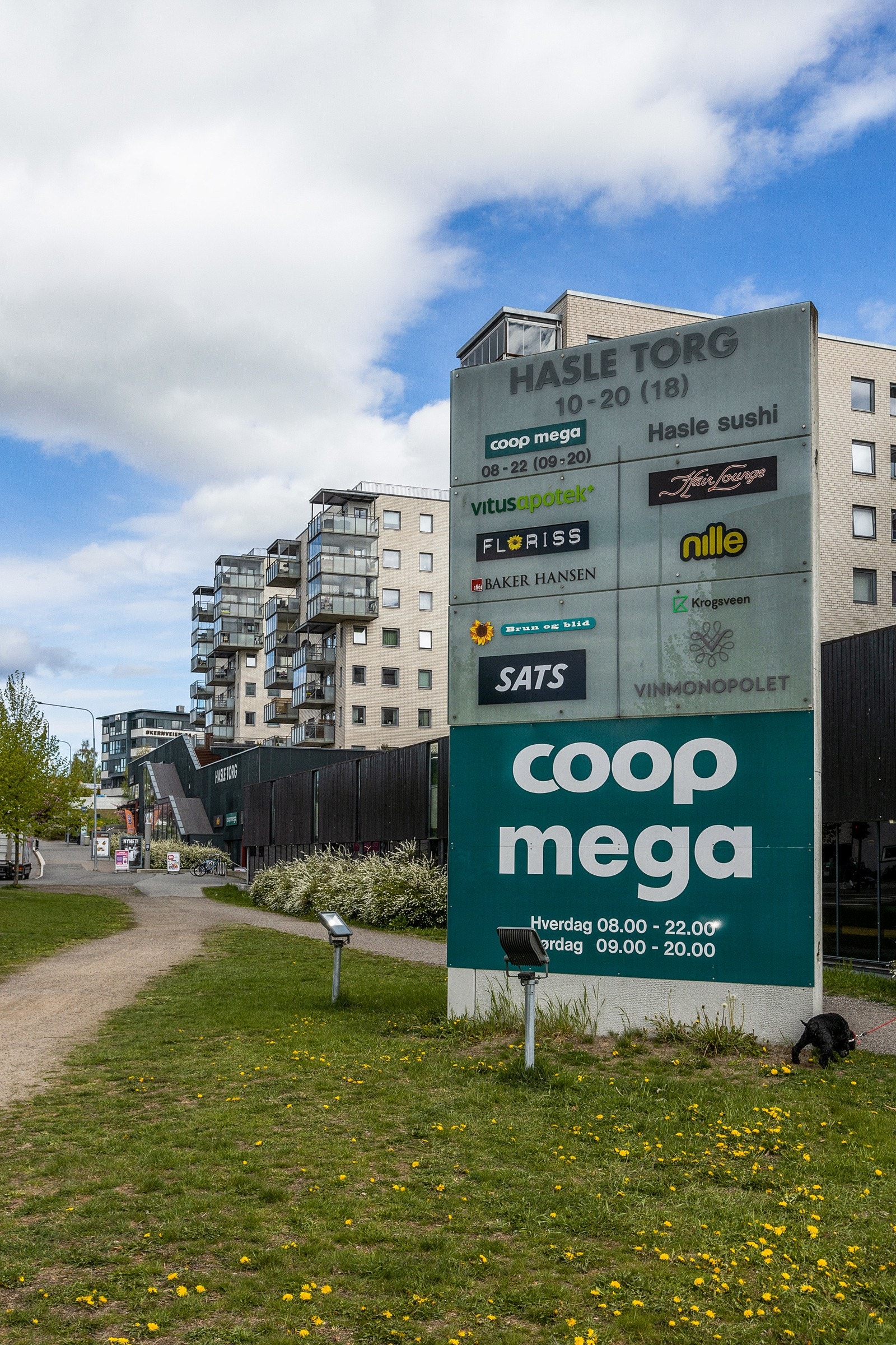 Nærområdet - Hasle Torg Galleribilde