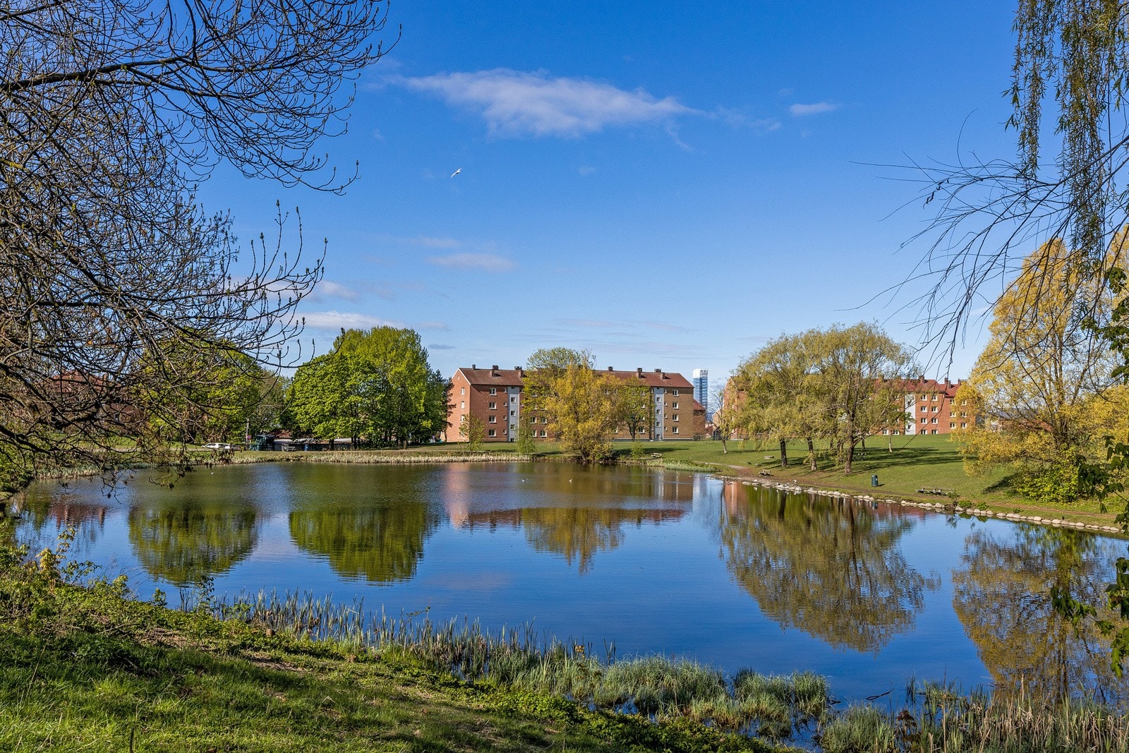 Nærområdet - Hovindammen Galleribilde