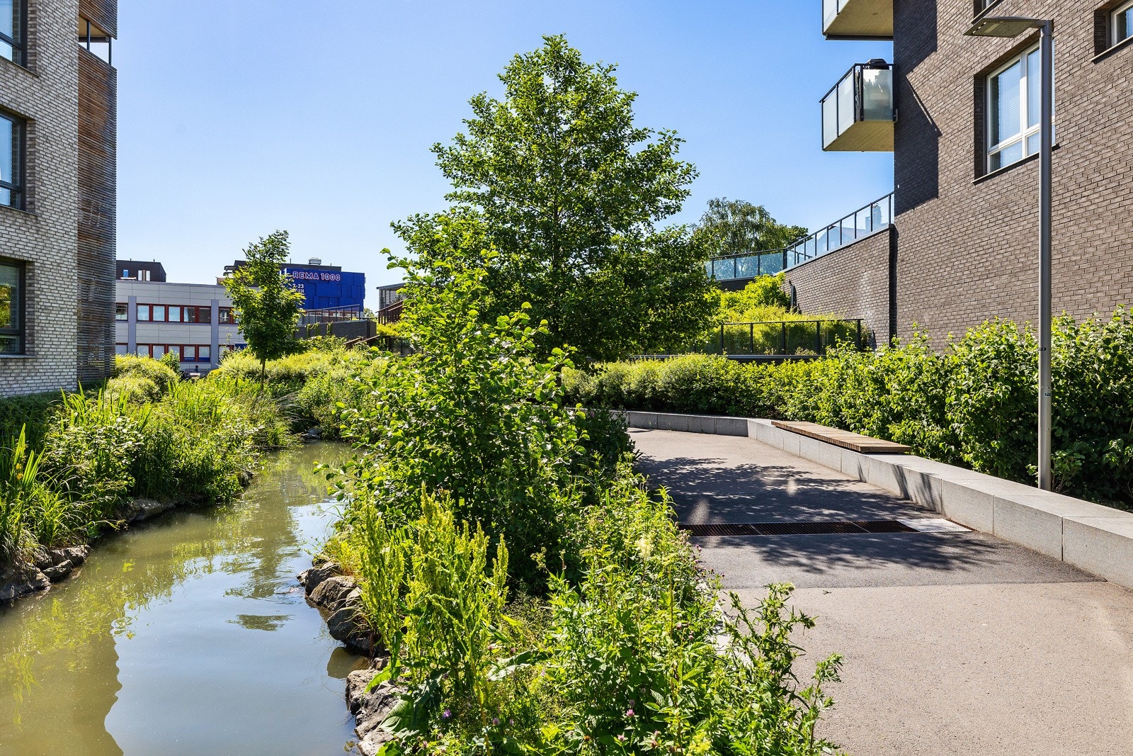 Svært hyggelige fellesarealer. Galleribilde