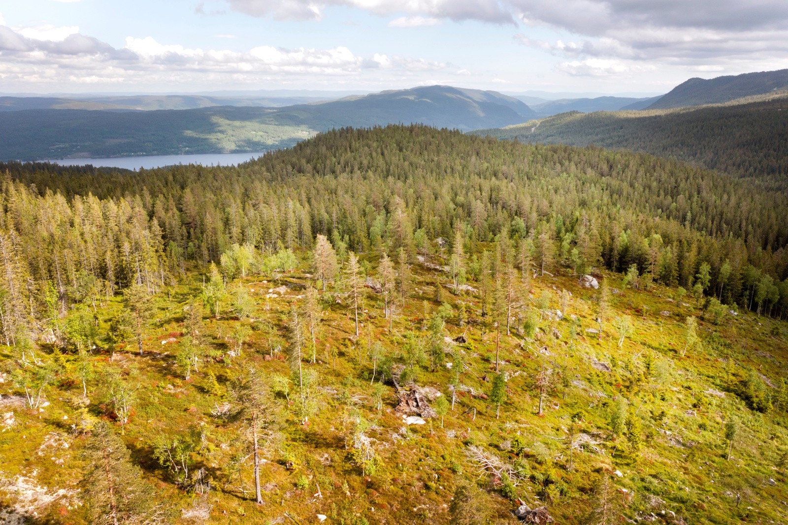 Tomten er på ca. 1761 kvm. Galleribilde