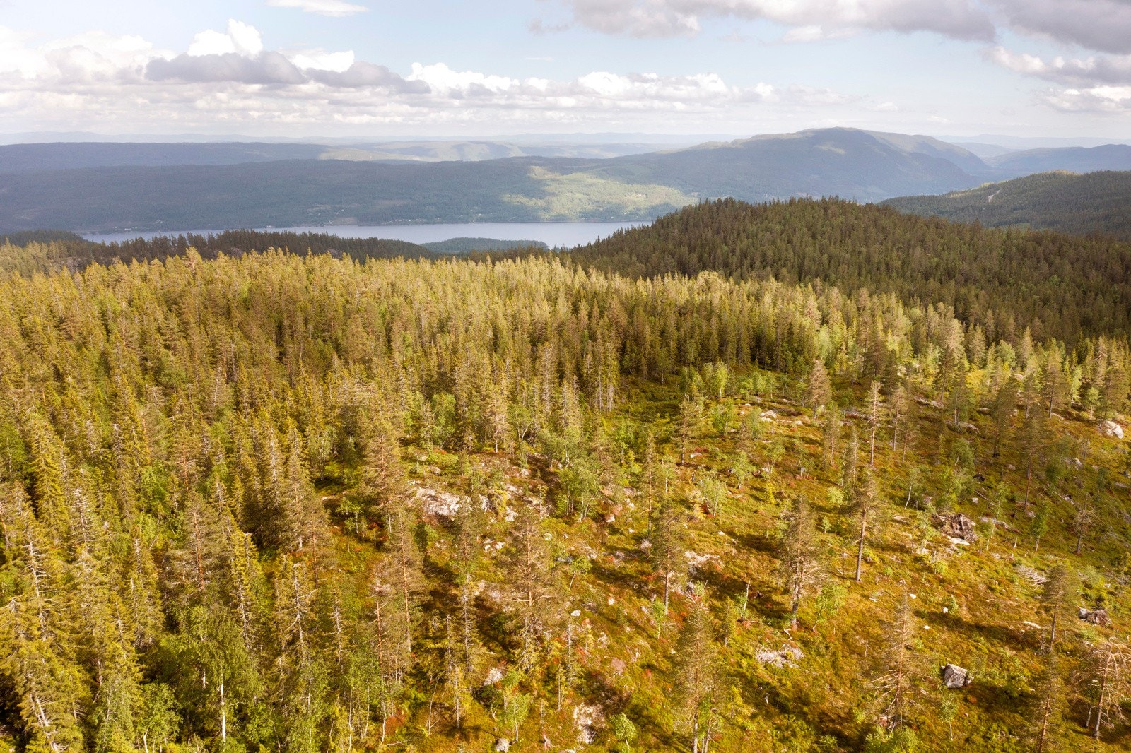 Her er det milevis med skispor, og flotte turmuligheter forøvrig. Galleribilde