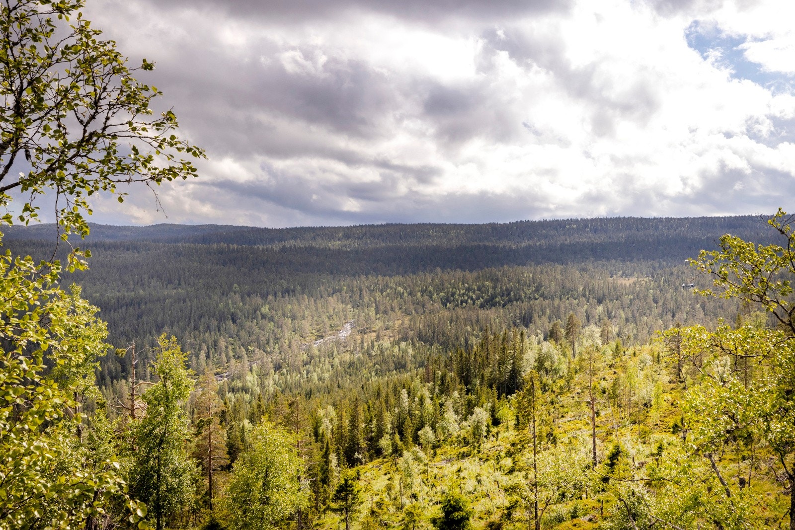 Vikerfjell er en flott destinasjon for den aktive og frluftsintreresserte Galleribilde