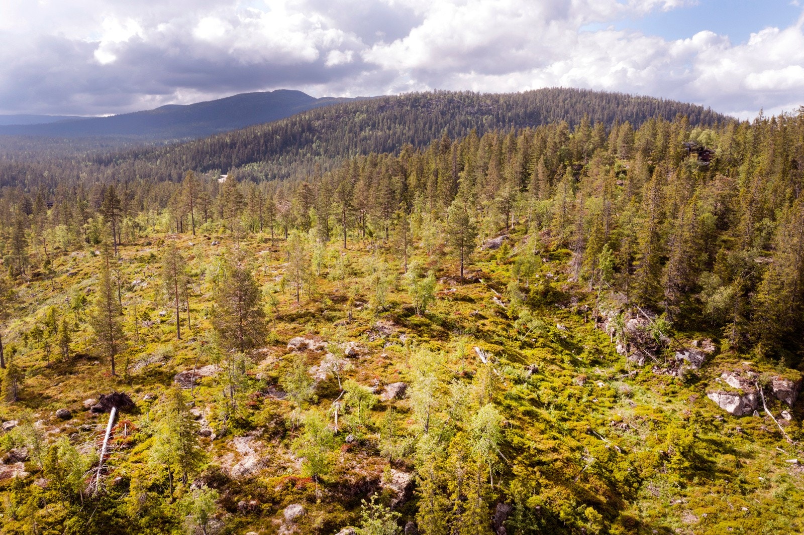 Eiendommen er beliggende på Vikerfjell, ved Fanteputten. Galleribilde