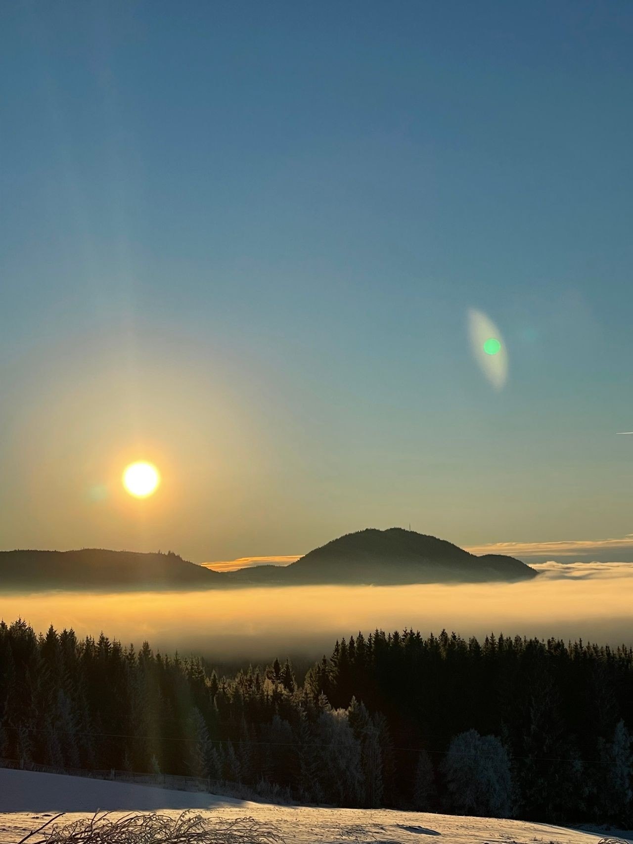 Når tåka kommer snikende i lavlandet, bader Lauvlia fortsatt i sol Galleribilde