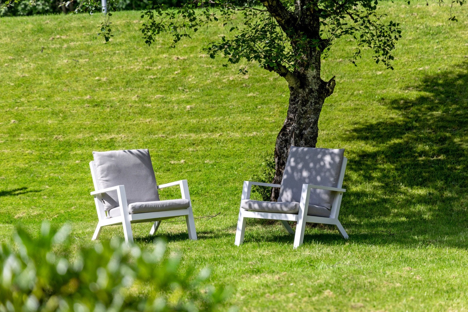 Her sitter man usjenert og tilbaketrukket til. Galleribilde