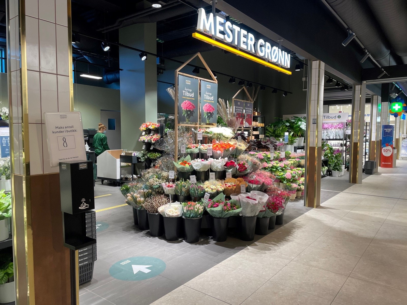 .. og Mester Grønn Galleribilde