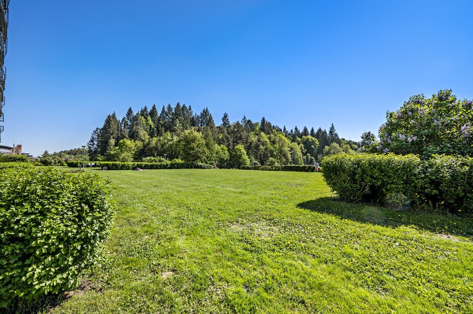 Skøyen010.jpg Galleribilde