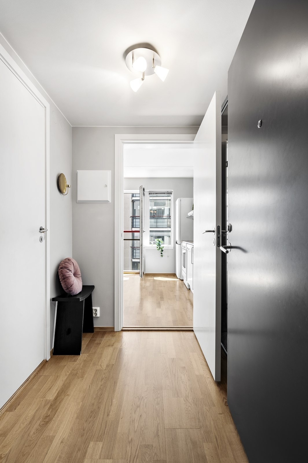 _DSC5229.jpg Galleribilde