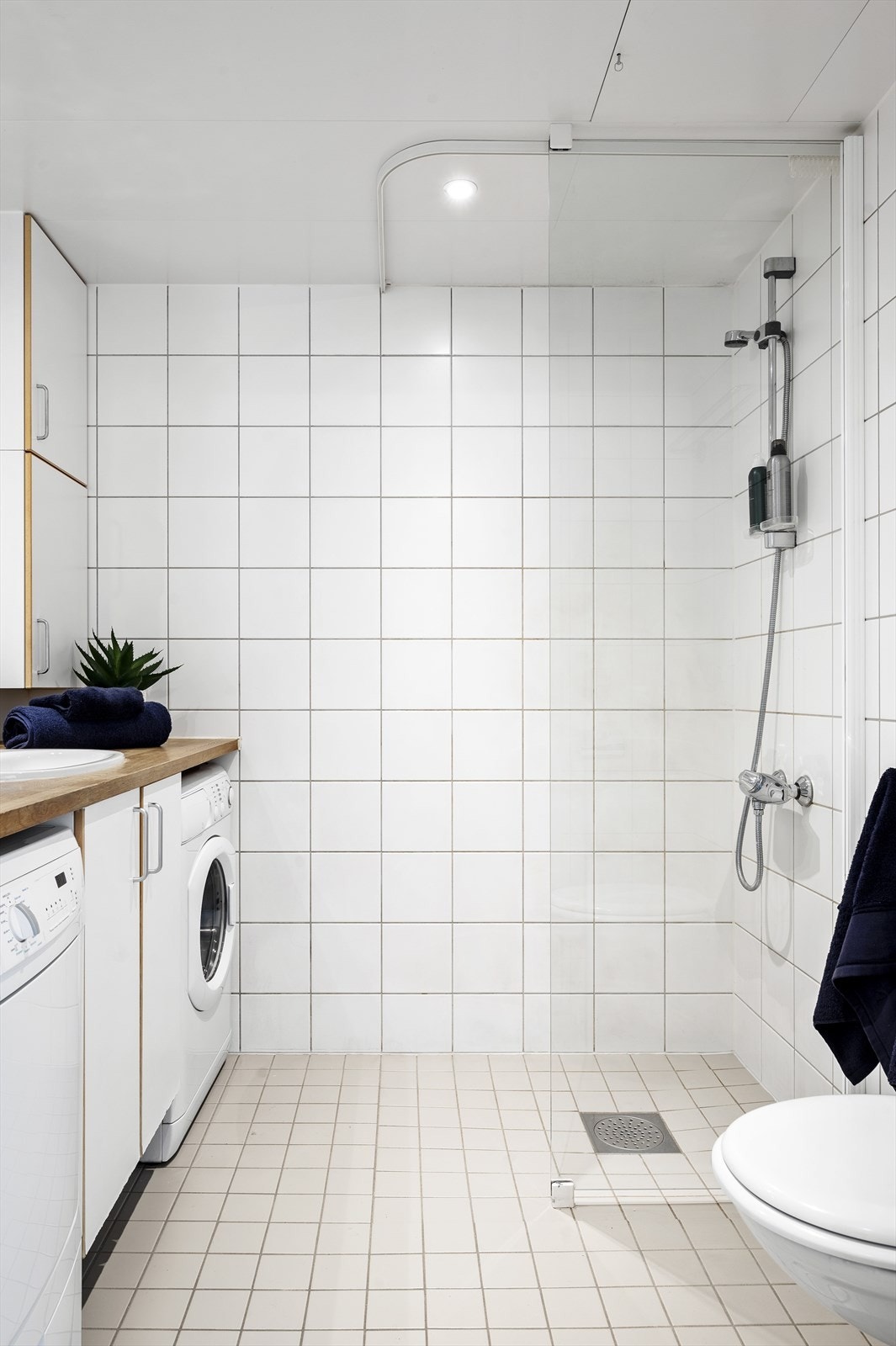 _DSC5208.jpg Galleribilde