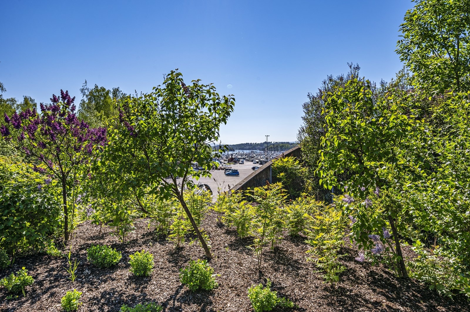 Skøyen08.jpg Galleribilde