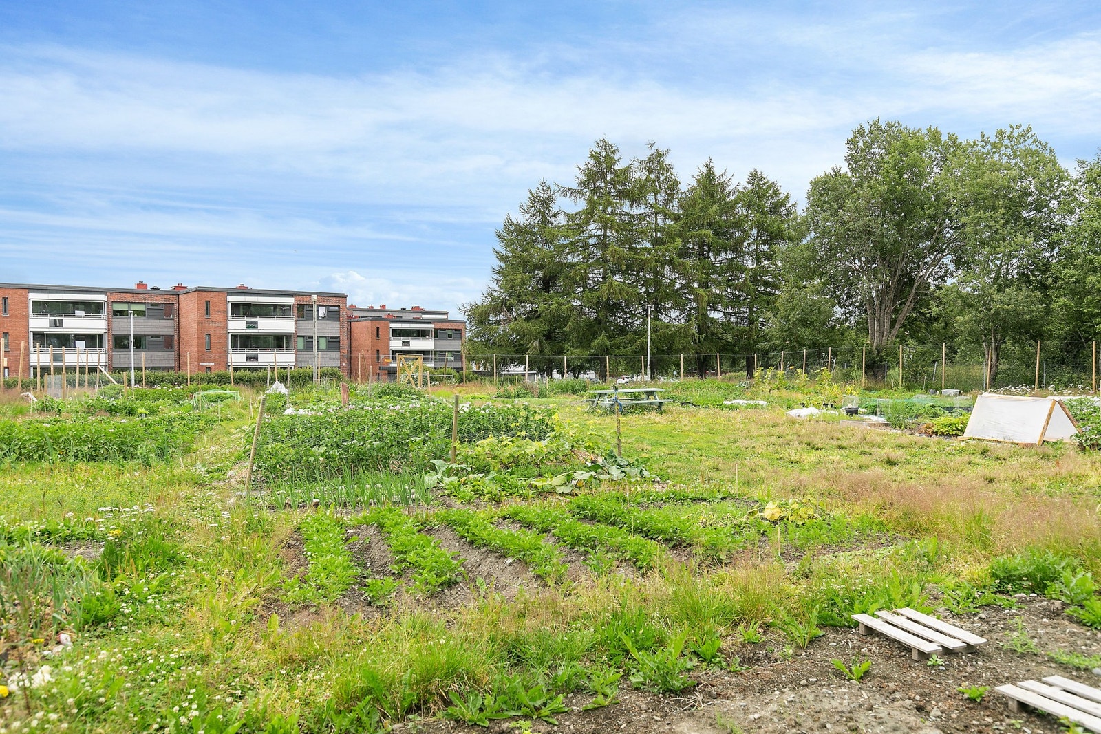 Det ble i 2018/2019 etablert en parsellhage i borettslaget. Her kan man søke om å få seg en egen plass til dyrking av urter og grønnsaker. Galleribilde