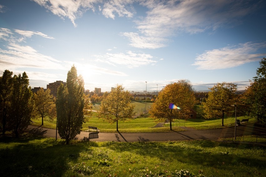 Tøyenparken er en annen av bydelens grønne lunger like ved leiligheten, med variert terreng og trivlige turstier. Her ligger også Tøyenbadet som er under oppussing og er planlagt ferdig i 2024. Galleribilde