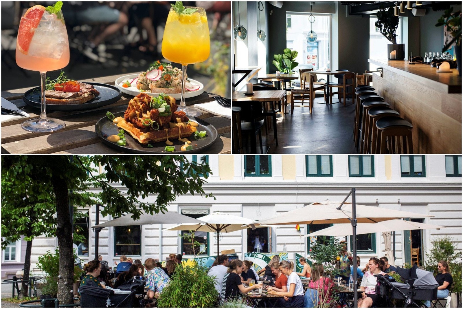 Grådi på Tøyen har en meny som endrer seg etter årstider og tilgjengelige råvårer. Galleribilde