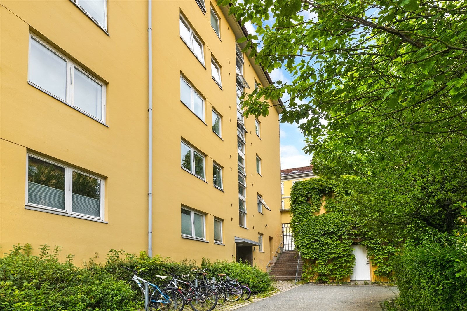 Fasade. Galleribilde