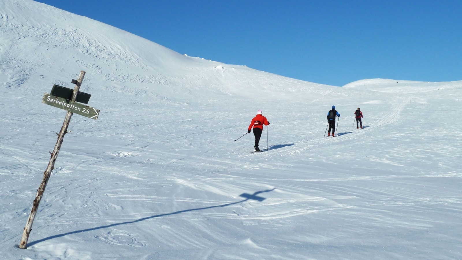 På tur til Sørbølnatten Galleribilde