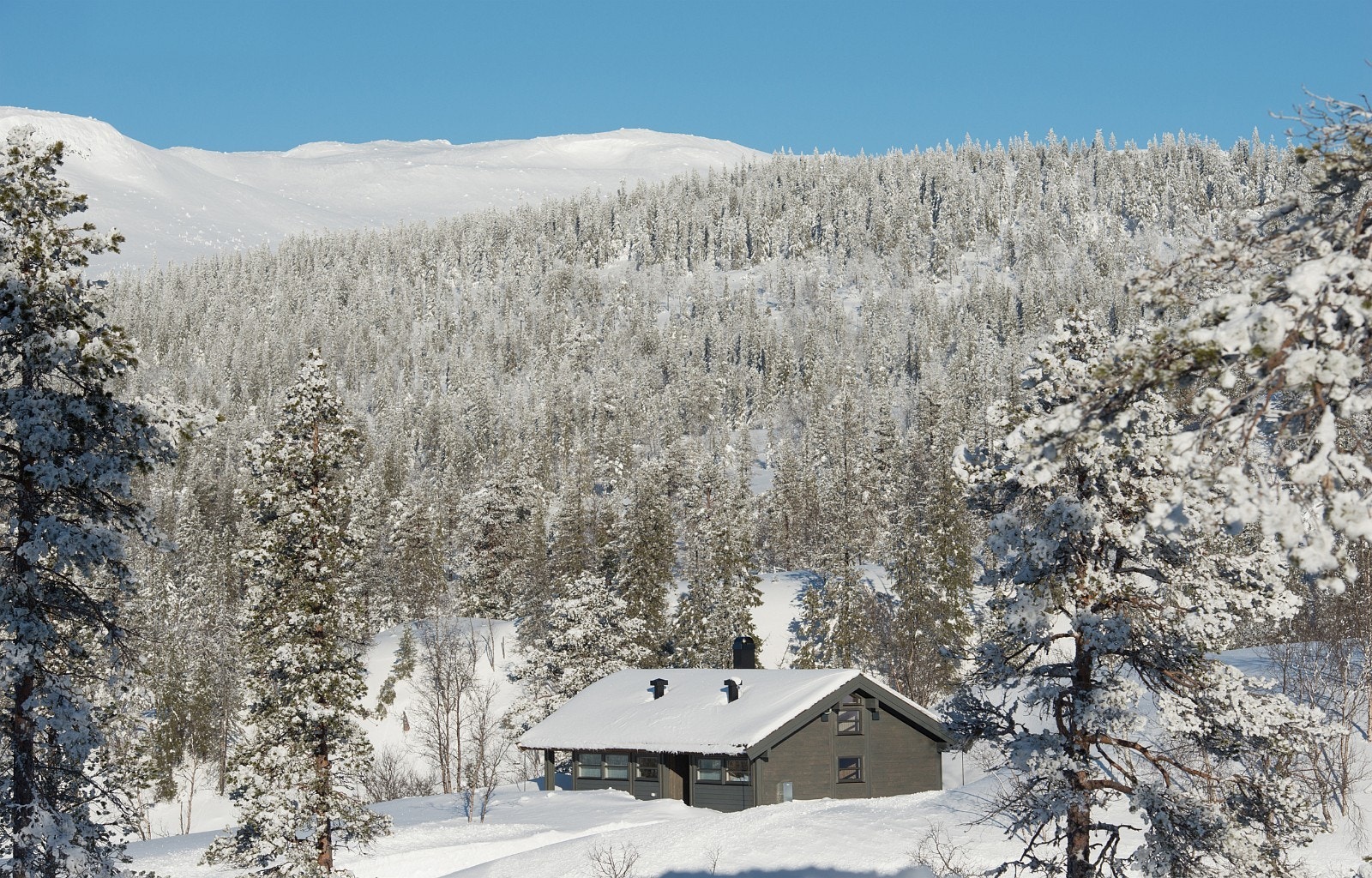 Solrike selveiertomter, Sørbølfjell Galleribilde