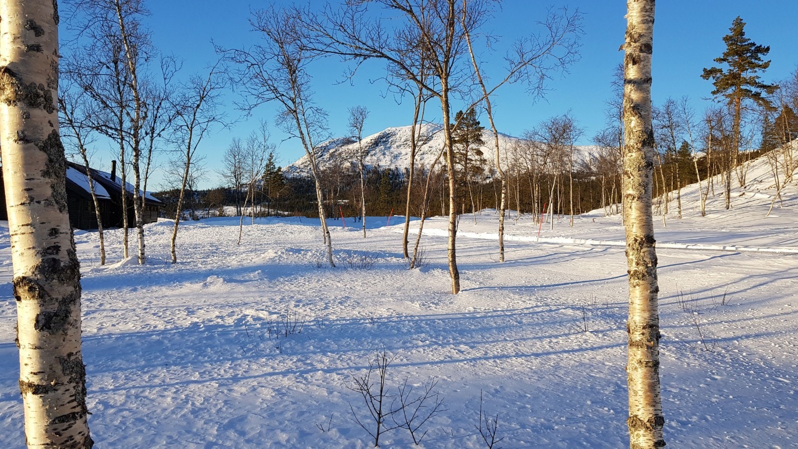 Utsikt fra tomt 87 Galleribilde