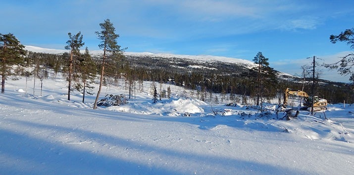 Tomt 53, 56 og 58 Galleribilde