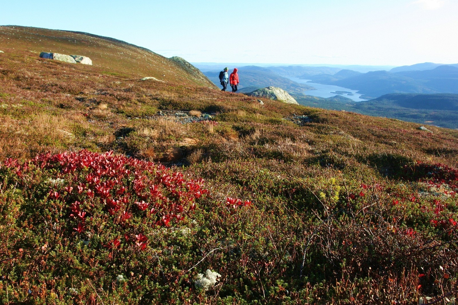 Flotte turmuligheter året rund. Galleribilde