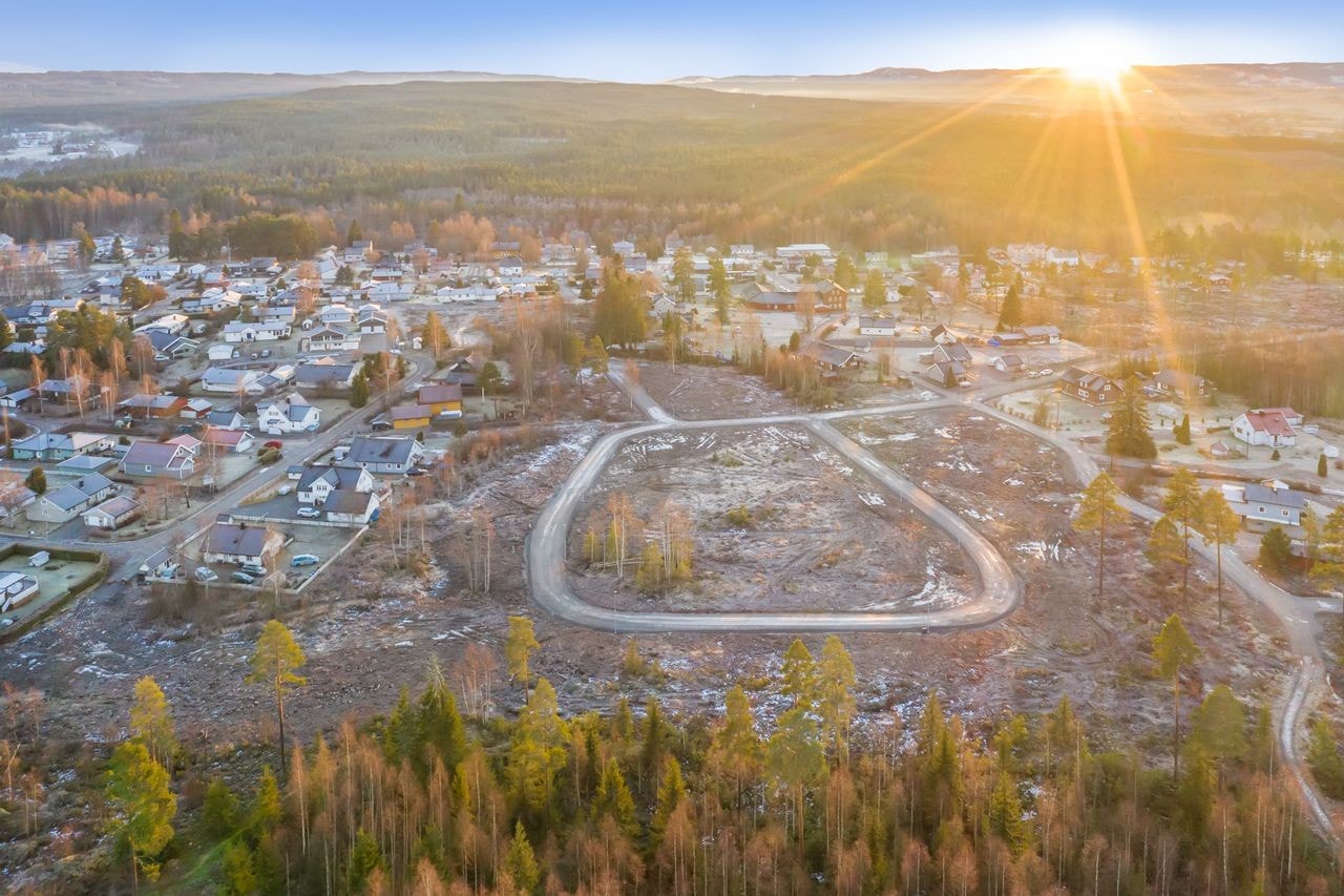 Drone fra hele feltet, mot syd. Galleribilde