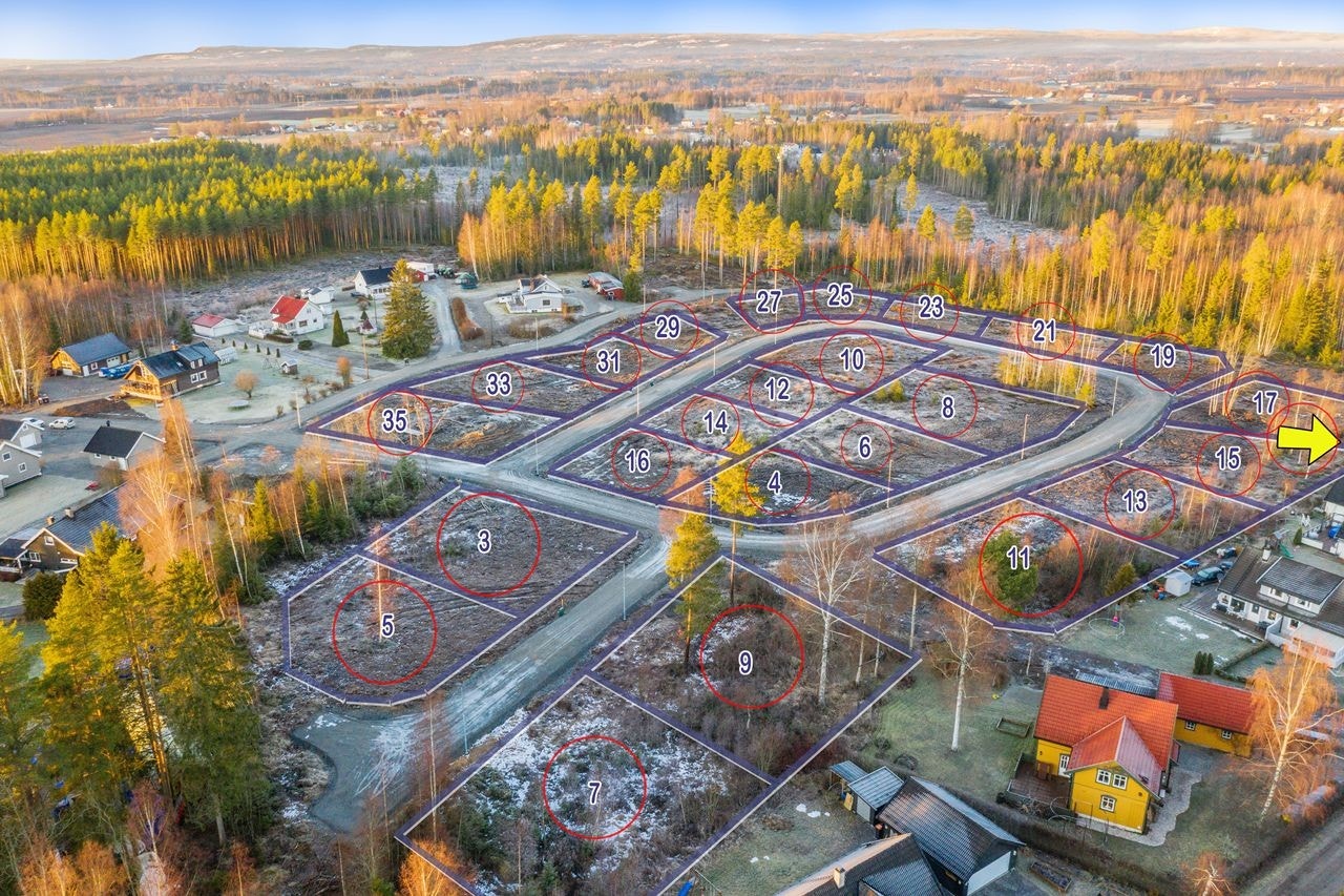 Tomtekart med nummererte tomter. (De med rød ring er solgt). Formervegen 23 er ikke på bildet, merket md pil. Galleribilde