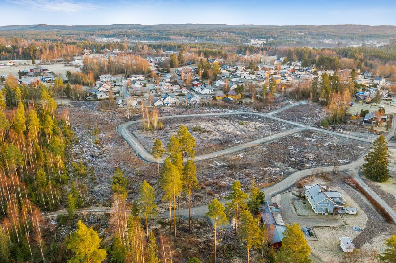 Drone av hele feltet, mot øst Galleribilde