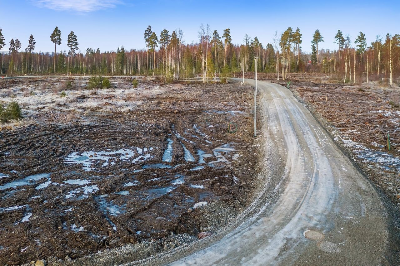 Fra østre del av feltet, fra hjørnet på nr. 4 Galleribilde
