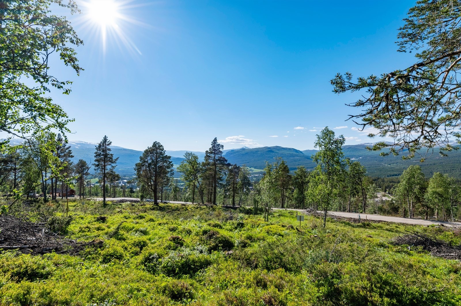 Området er pent avskoget og tilrettelagt for bygging. Galleribilde