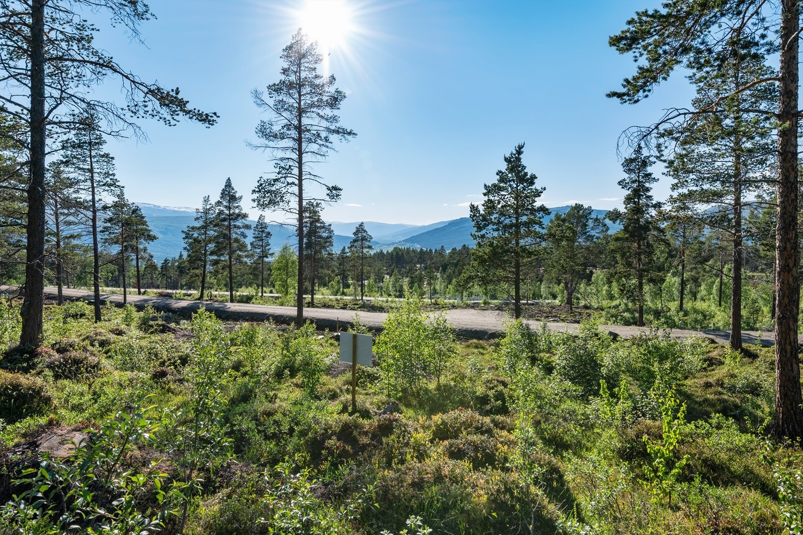 Lang og god solgang Galleribilde