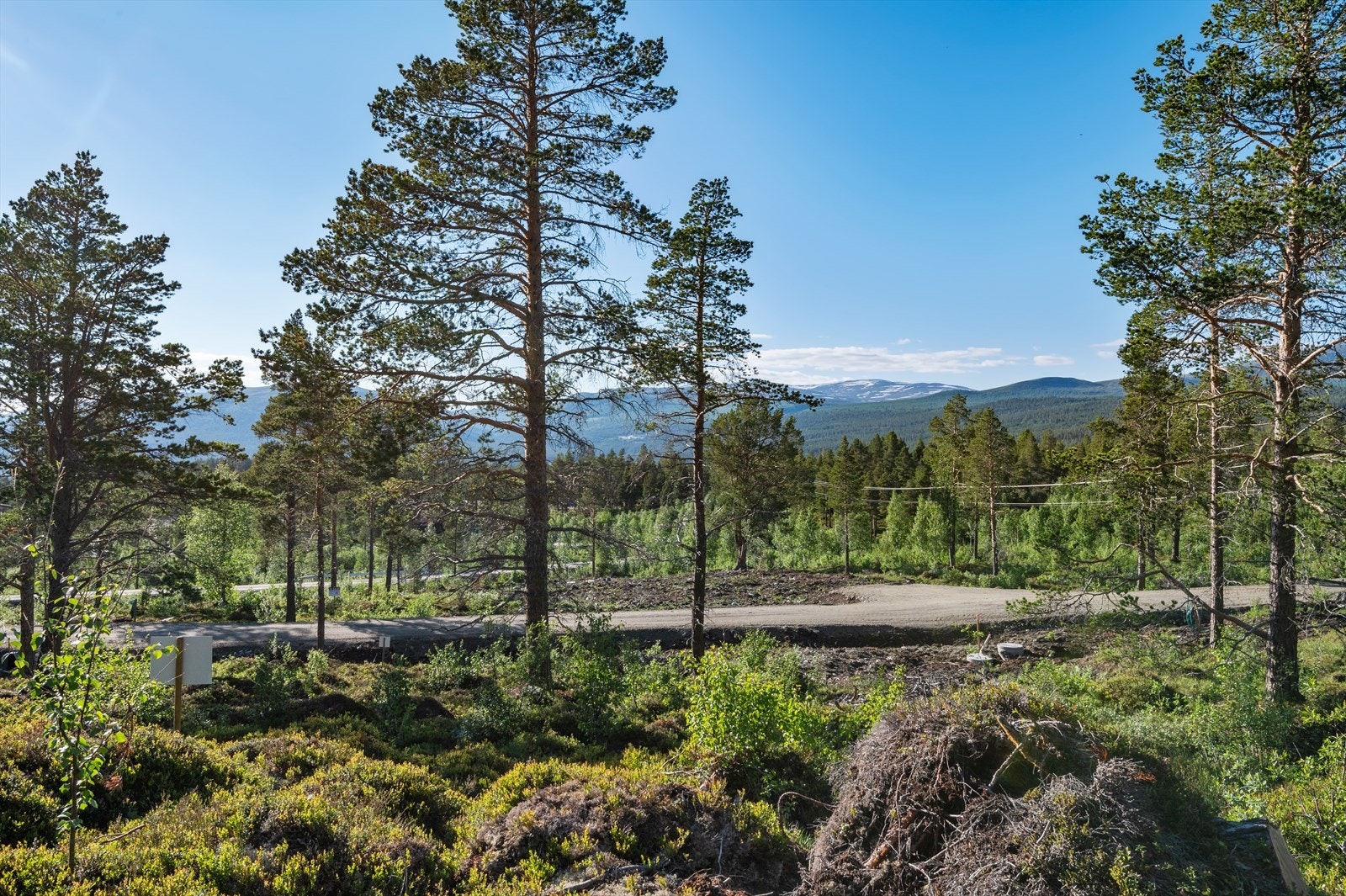 Romslige eiertomter. Galleribilde