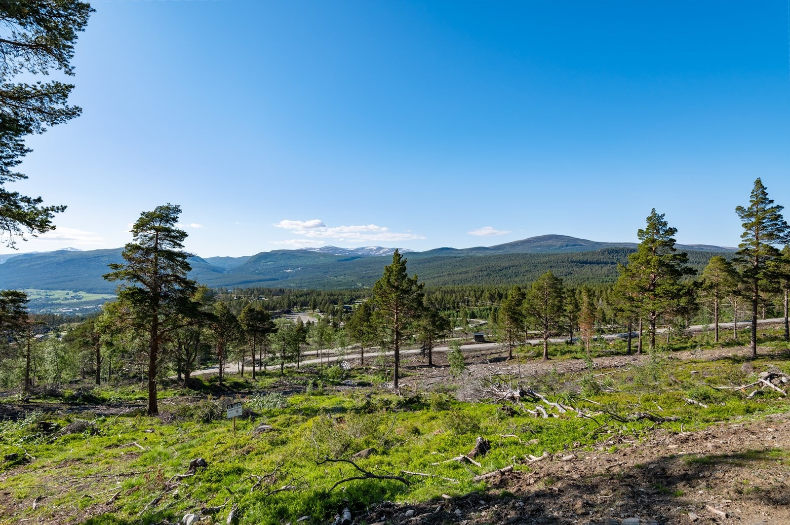 Området ligger ved foten av Dovrefjell. Galleribilde