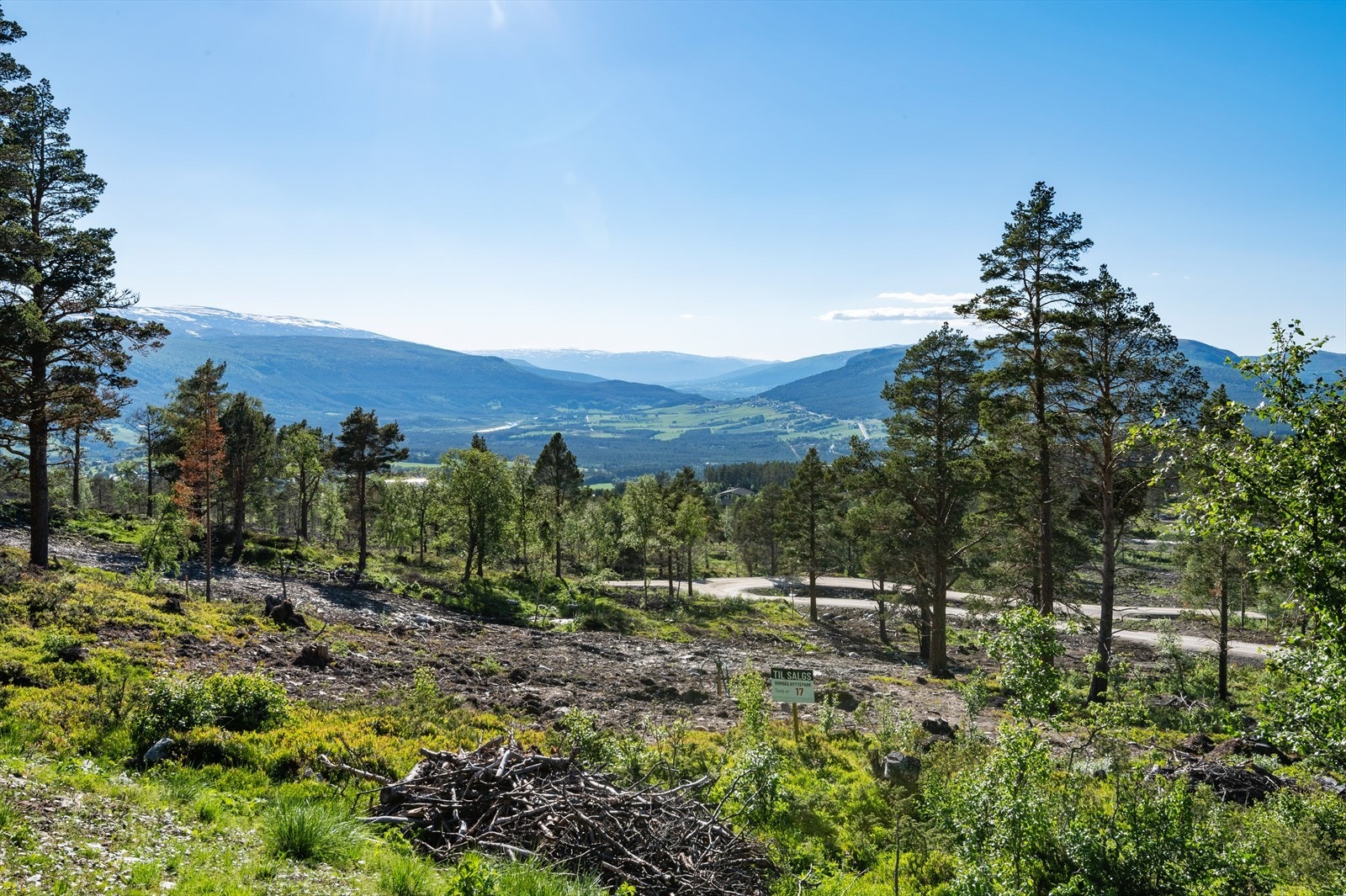 Panoramautsikt Galleribilde