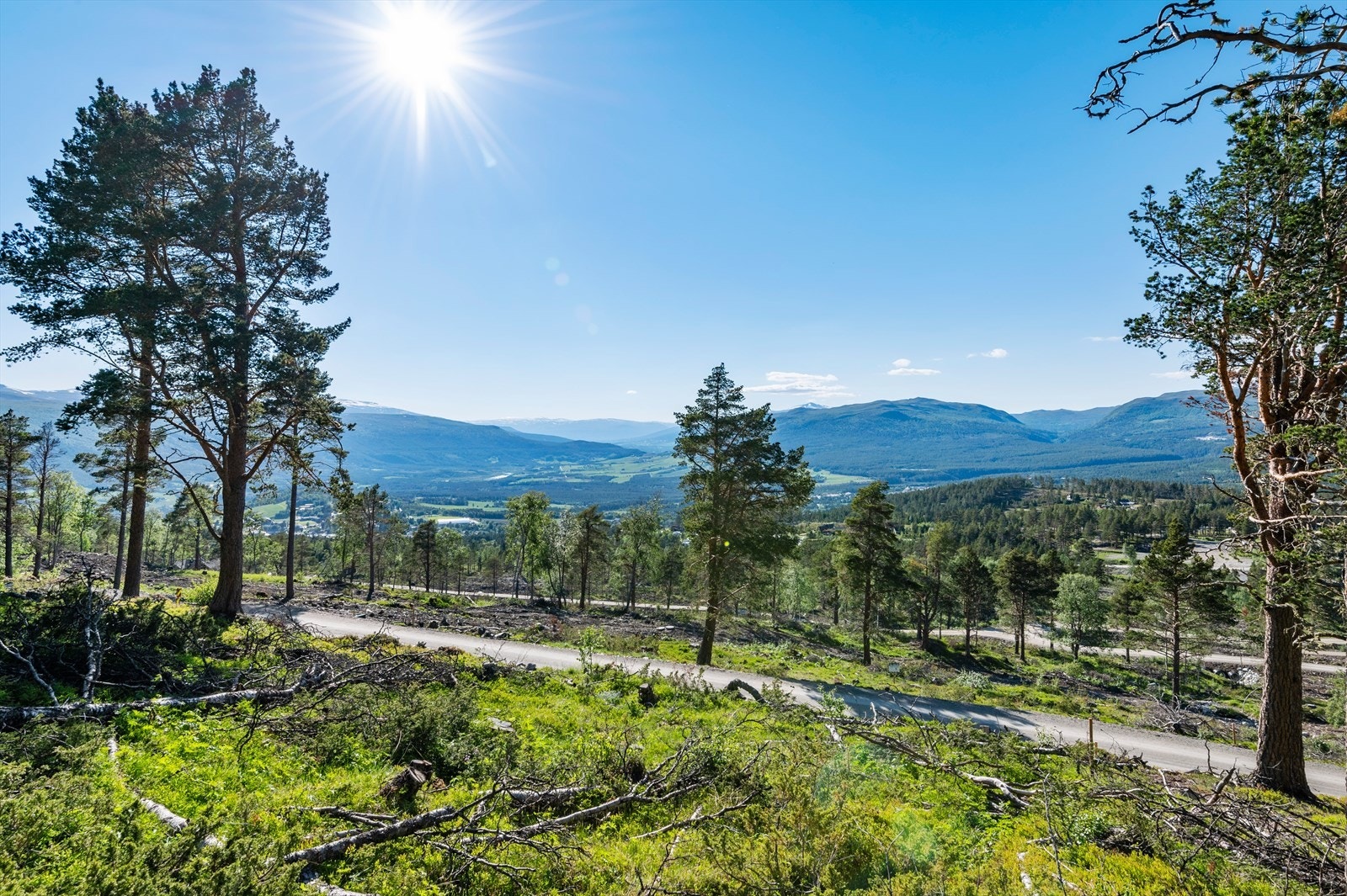 Utsikten vestover. Galleribilde