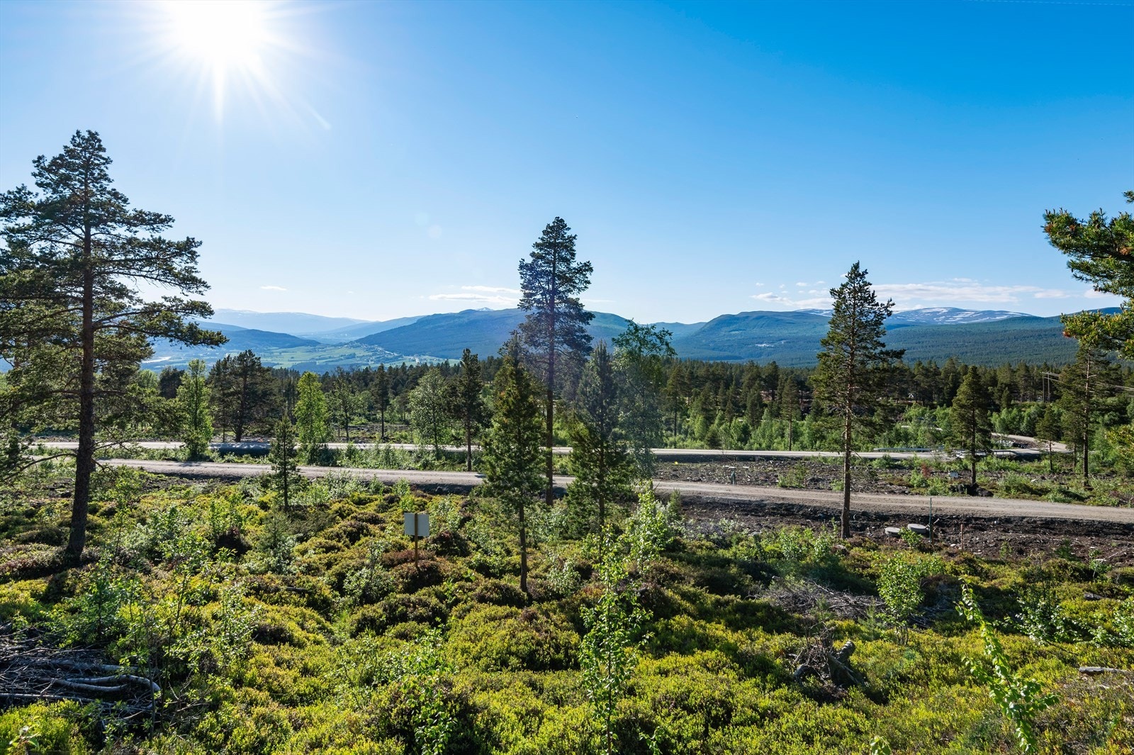 Fra feltet er det gangavstand til Dombås sentrum. Galleribilde